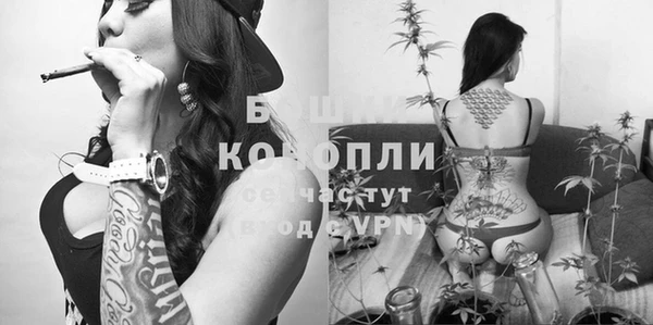 прущий лед Белоозёрский