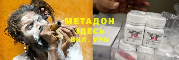 гидра Тында