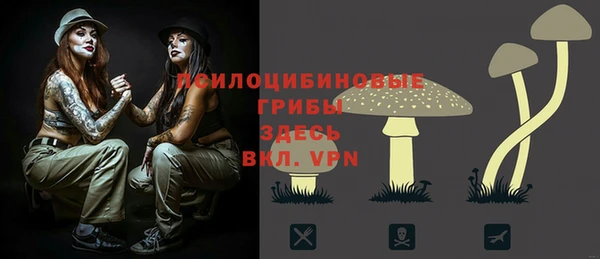ПСИЛОЦИБИНОВЫЕ ГРИБЫ Аркадак