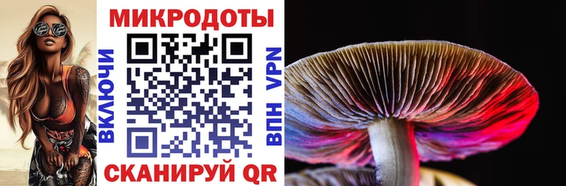 blacksprut зеркало  Шагонар  Псилоцибиновые грибы ЛСД 